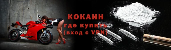 дмт Бикин