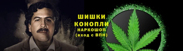 трава Беслан