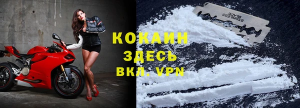 винт Магас