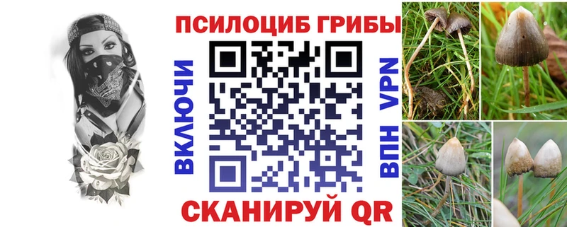 Галлюциногенные грибы MAGIC MUSHROOMS  Липки 